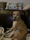 Talia (bonded with LulaBelle)