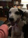 LulaBelle (bonded with Talia)