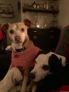 LulaBelle (bonded with Talia)