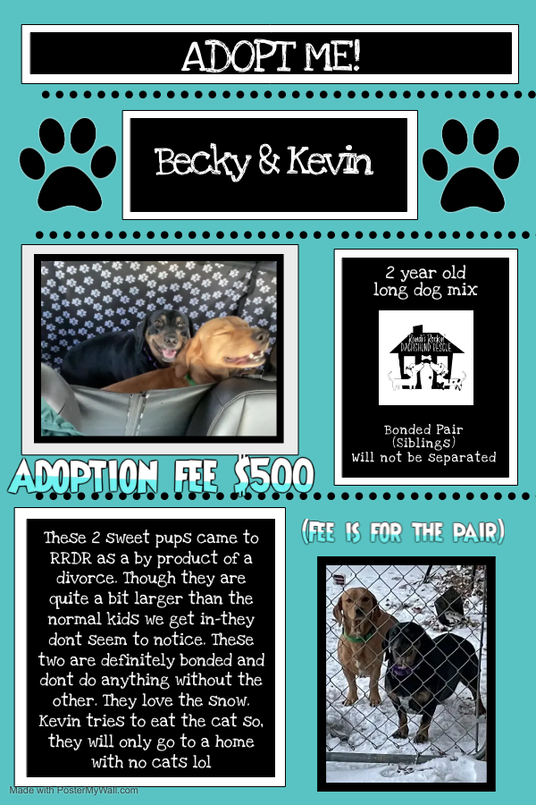 Becky and Kevin-BONDED PAIR