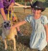 Pumba photo 1