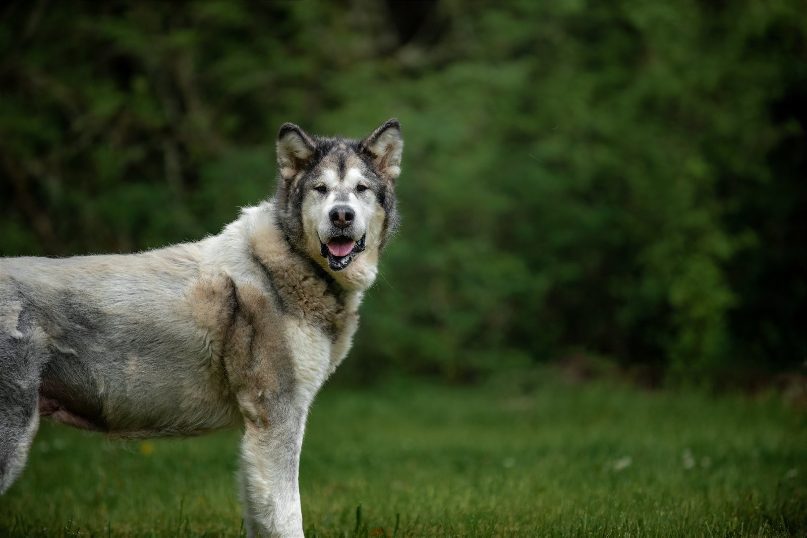 JUNEAU