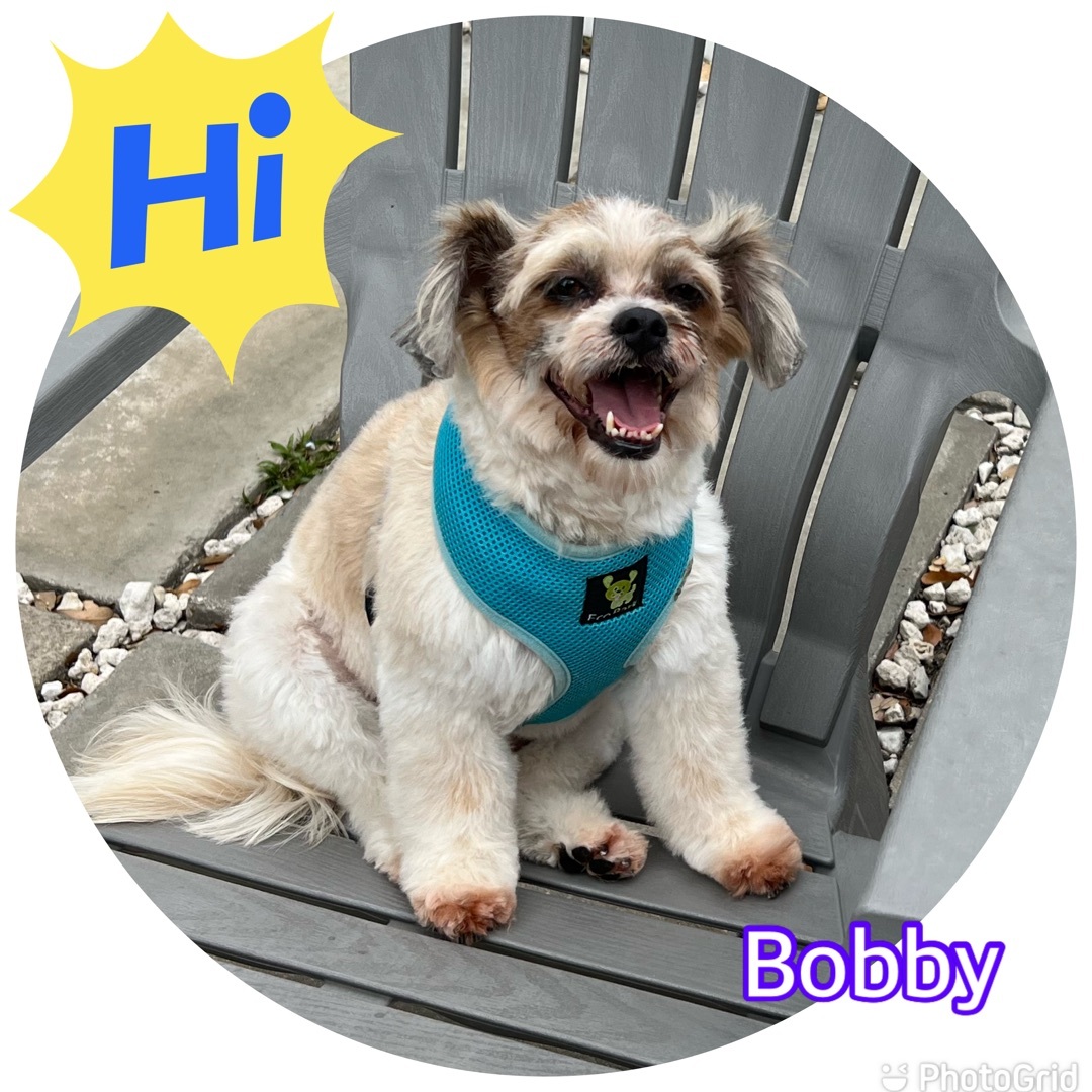 Bobby detail page