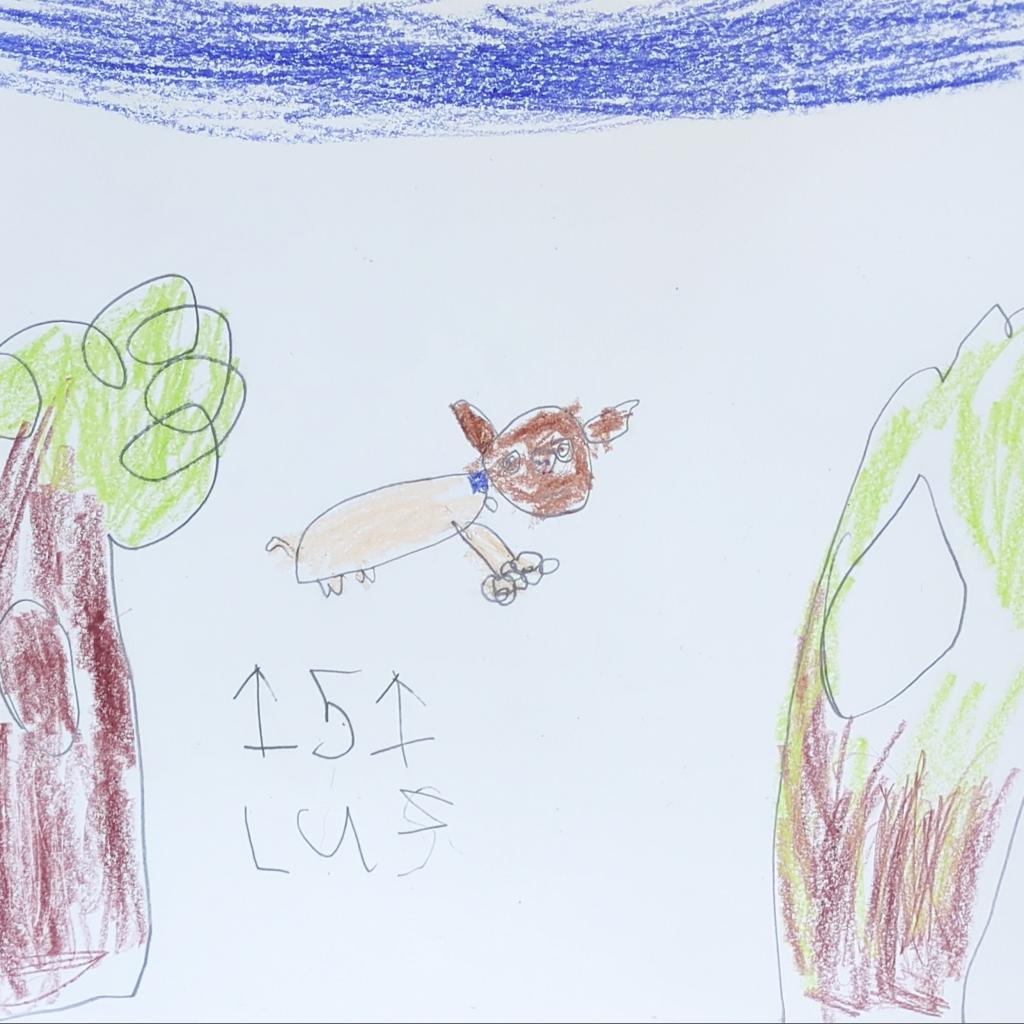 Luz, an adoptable Pit Bull Terrier in Kanab, UT, 84741 | Photo Image 4