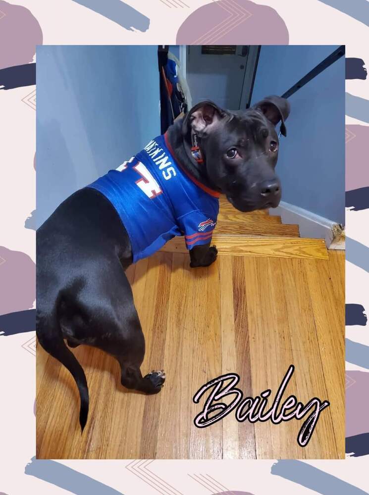 Bailey