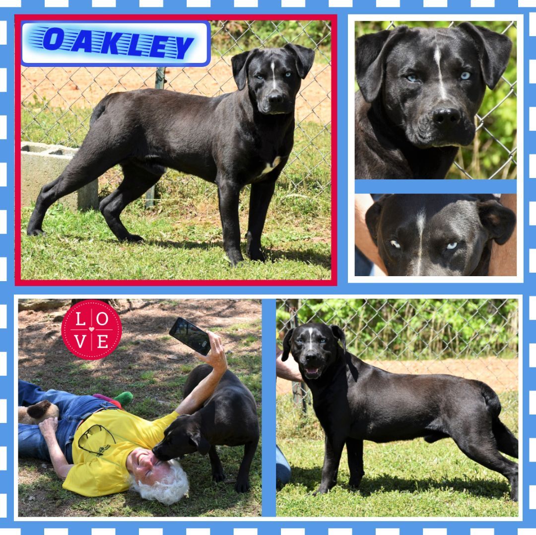 Oakley