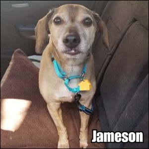 Jameson