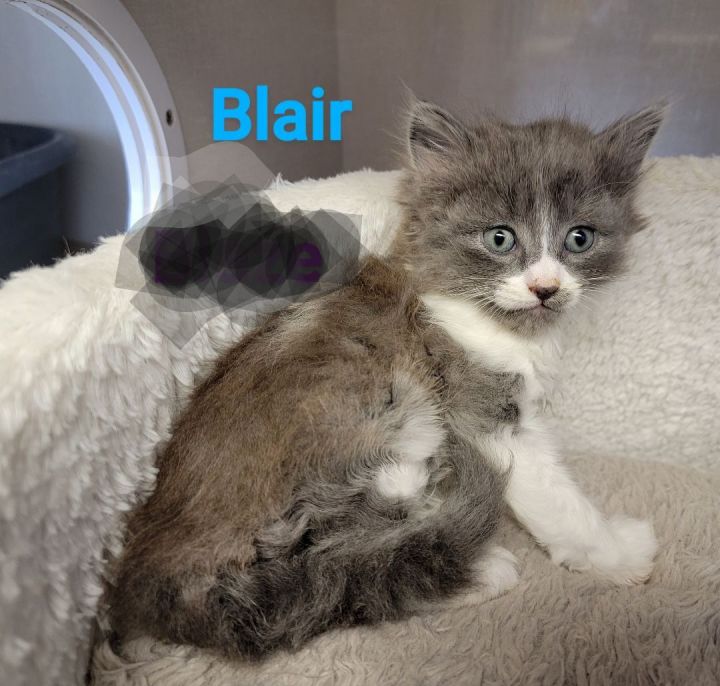 Blair 1