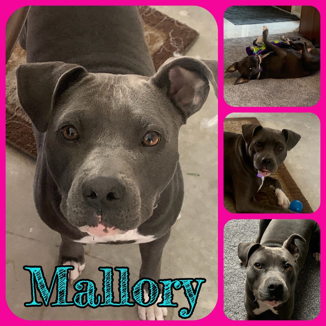 Mallory