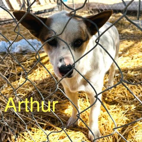 Arthur