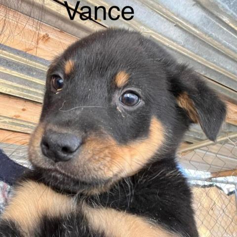 Vance 2_6