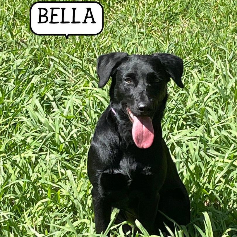 MOI BELLA