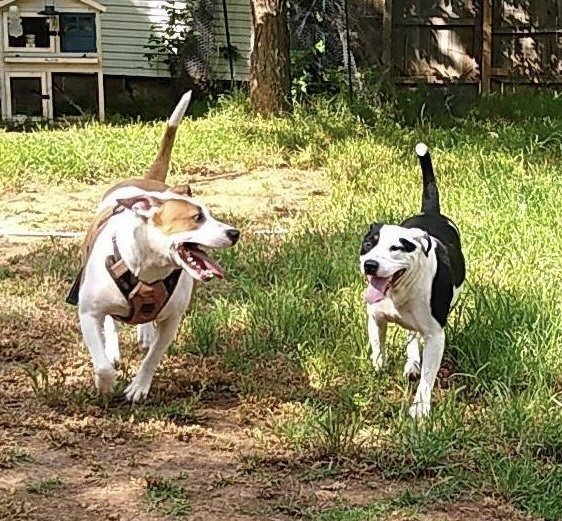 Hope & Delilah