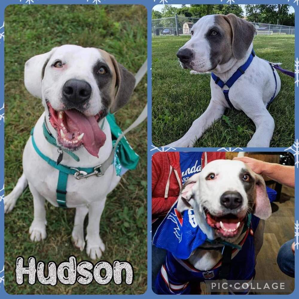 Hudson