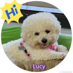 Lucy