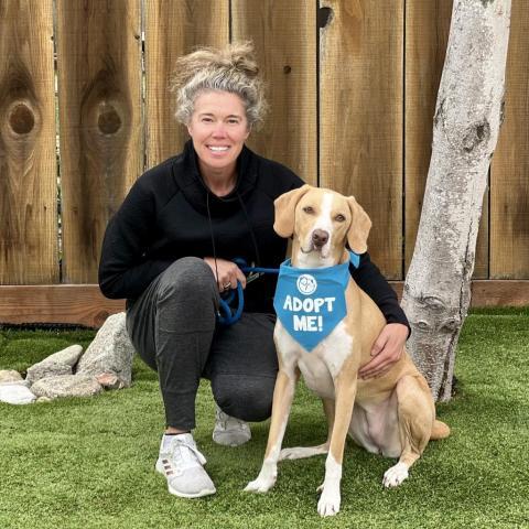 Flora aka Catalina, an adoptable Catahoula Leopard Dog, Mixed Breed in Pacific Grove, CA, 93950 | Photo Image 4