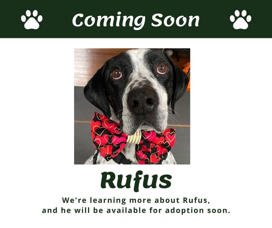 Rufus (NJ)
