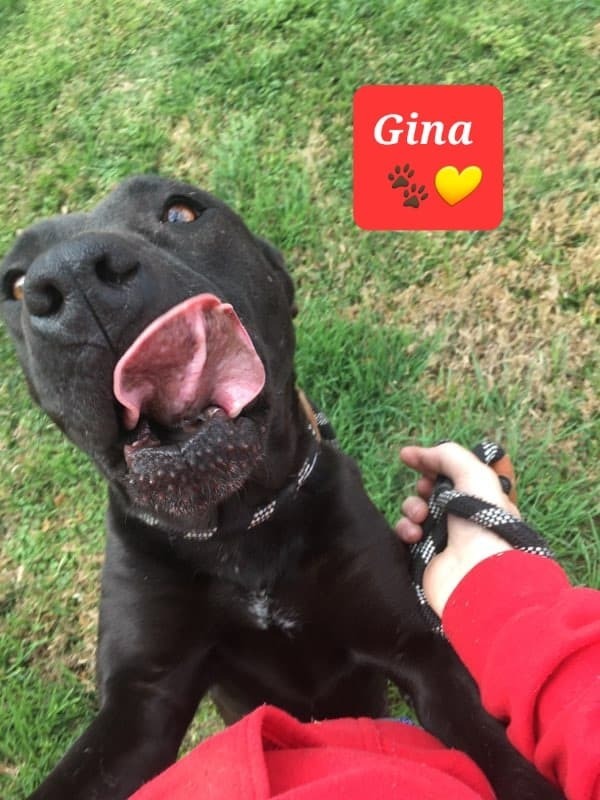 Gina