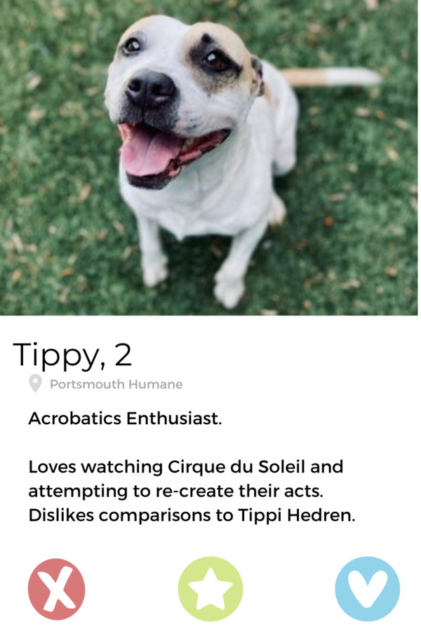 Tippy