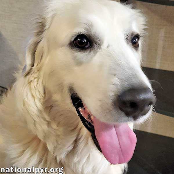 Bailey in LA - The Most Lovely & Friendly Girl!