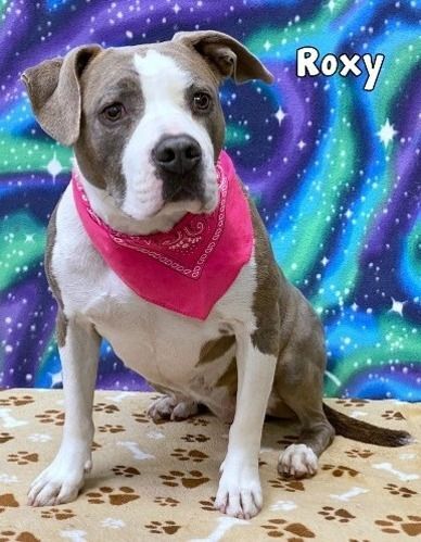 ROXY