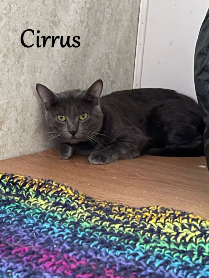Cirrus 1