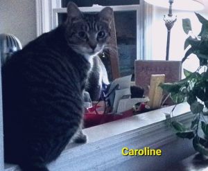 Caroline (bonded with Chunk)