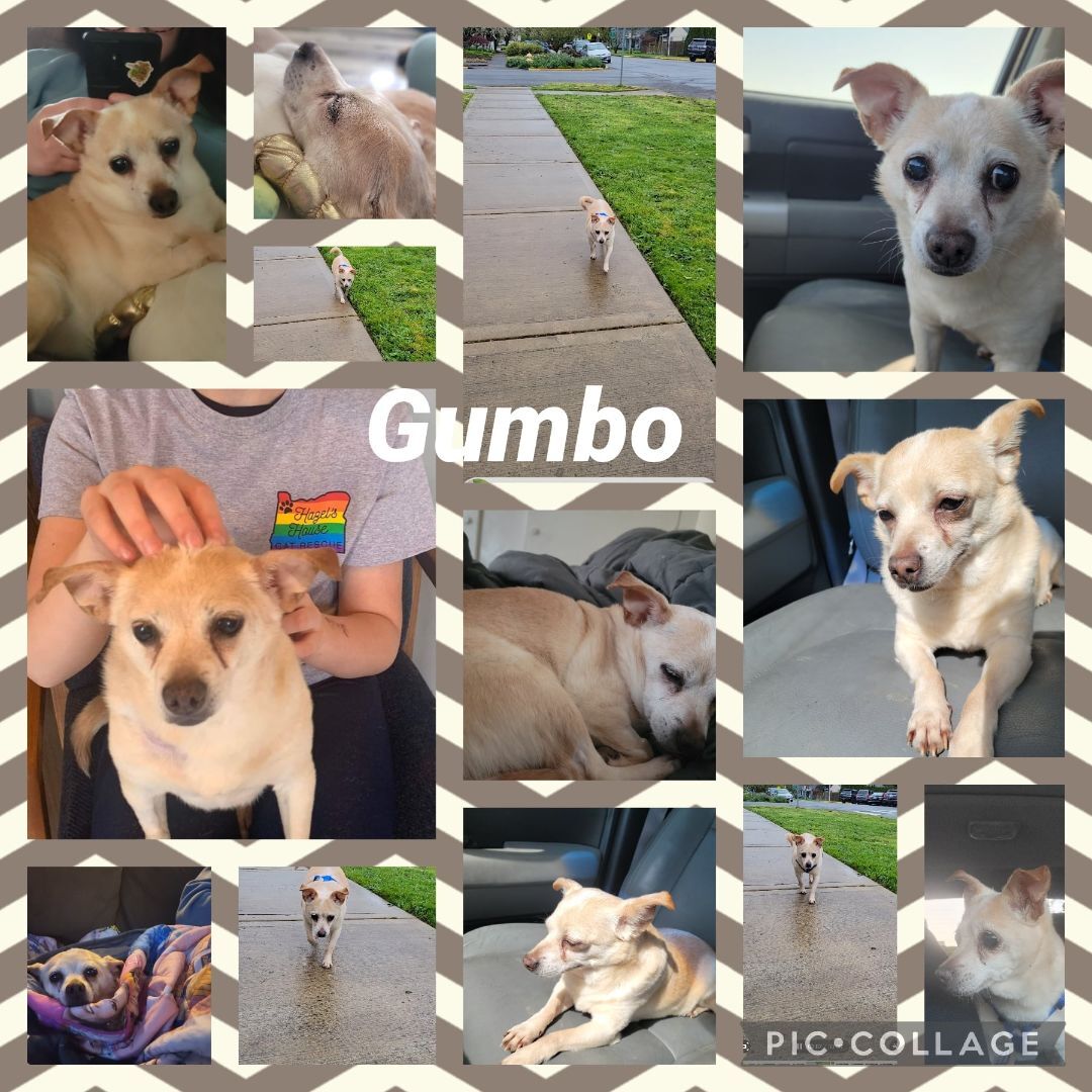 Gumbo