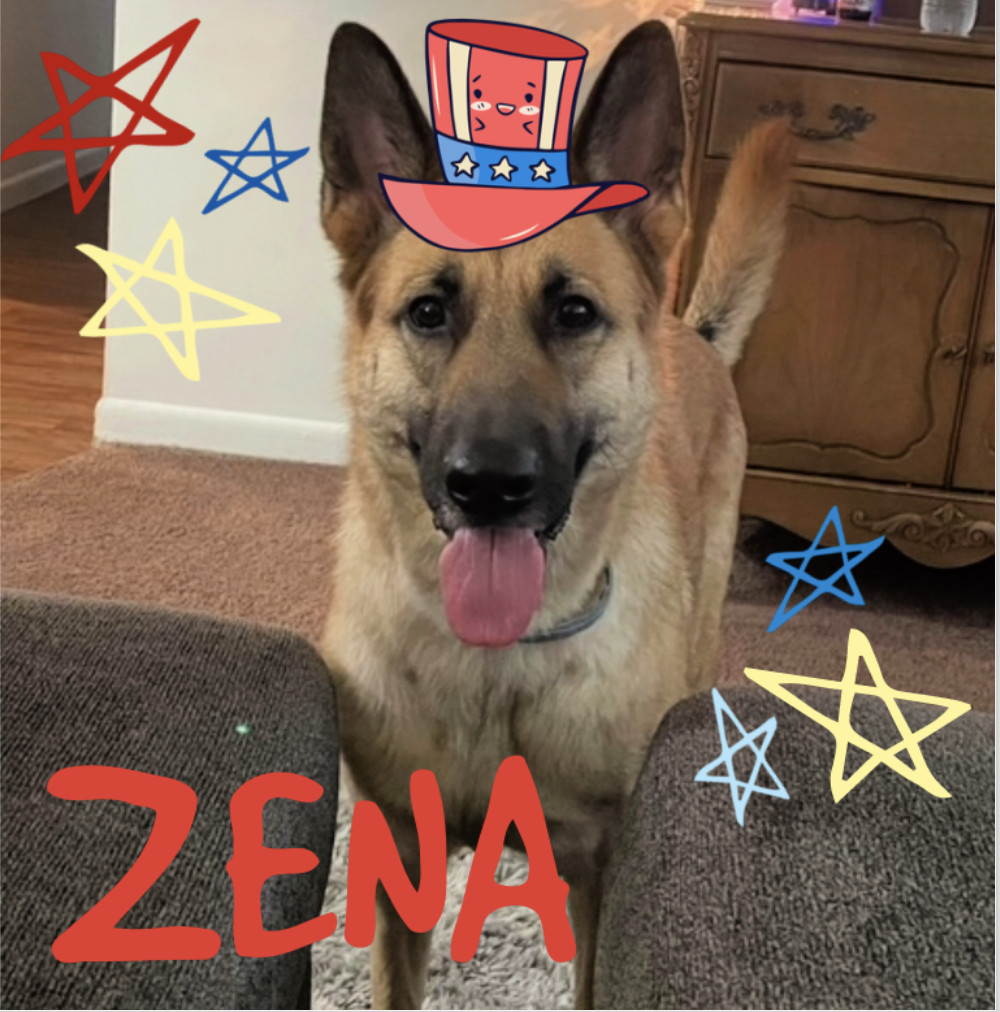 Zena