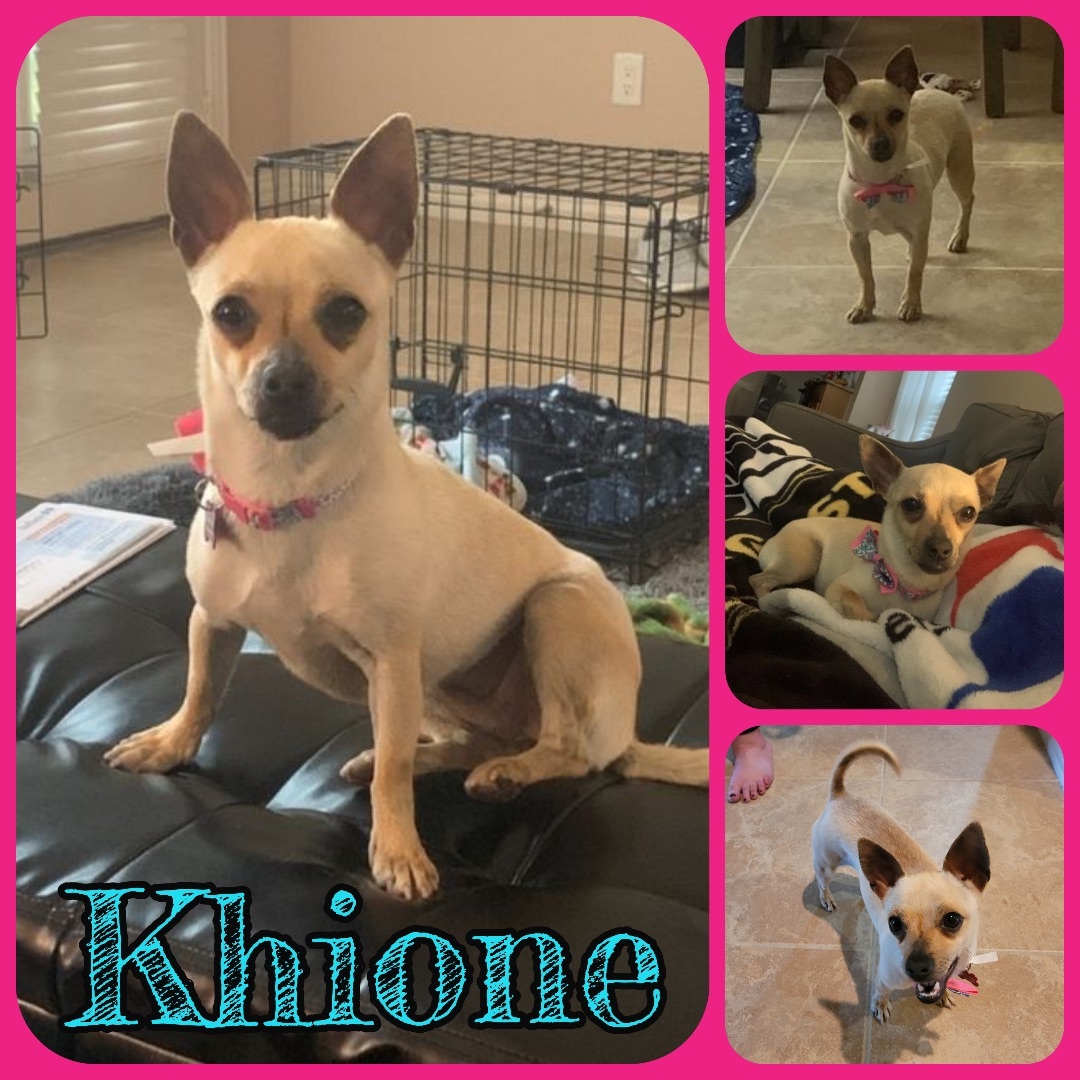 Khione