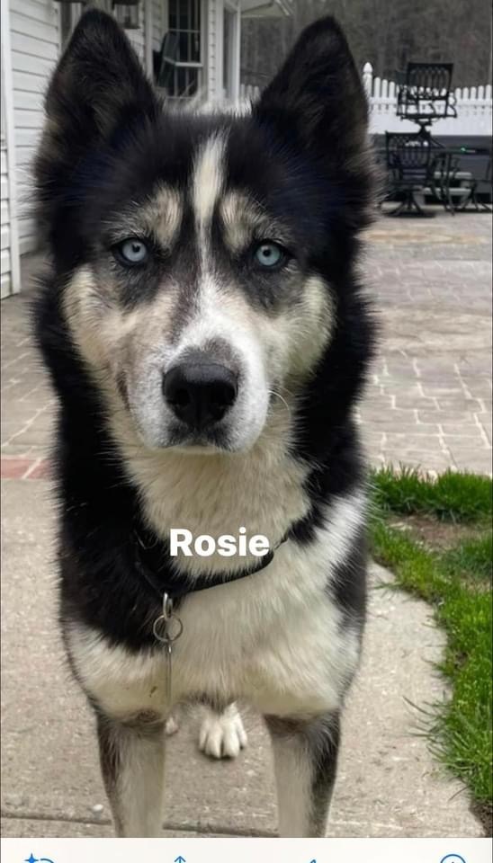 Rosie