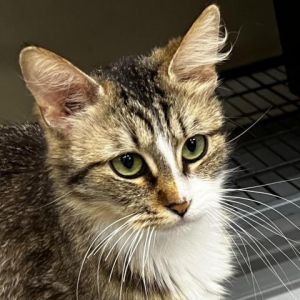 WINIFRED