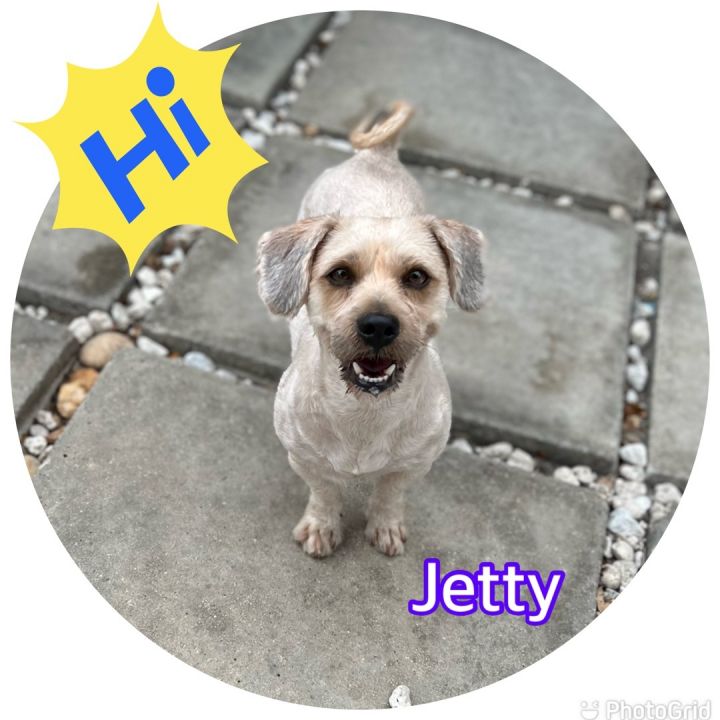 Jetty 1