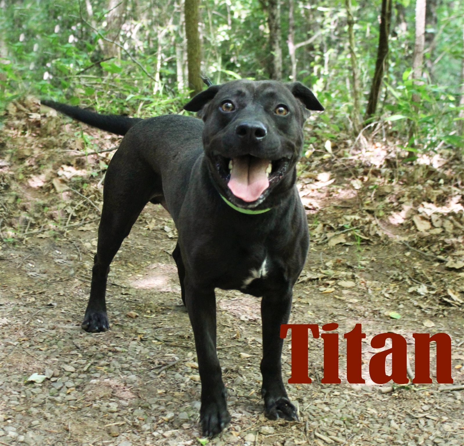 titan