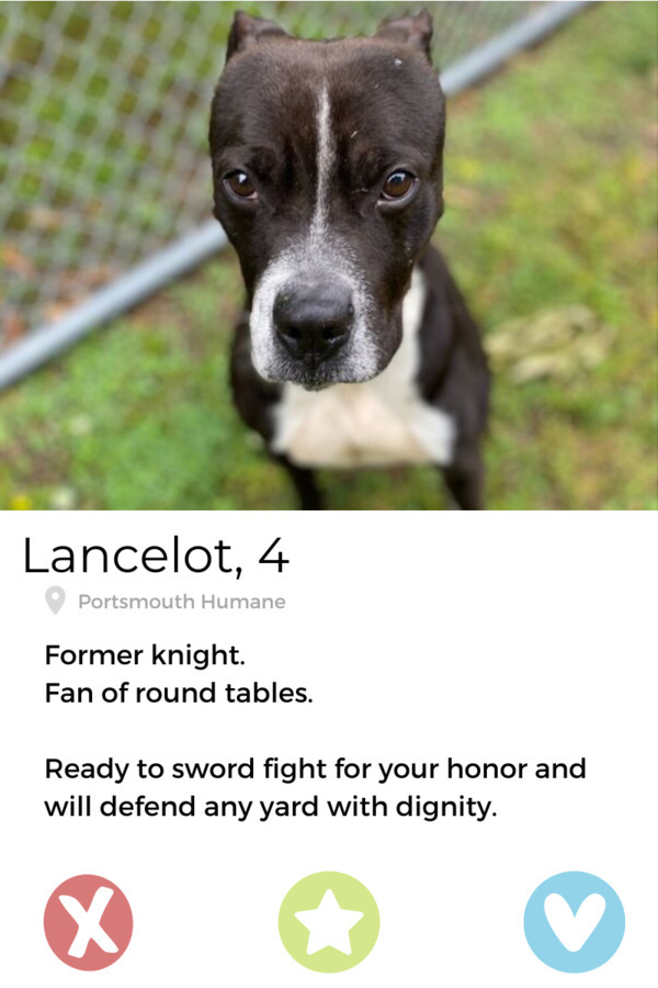 Lancelot