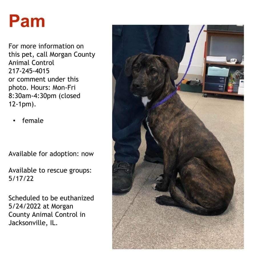 Pam