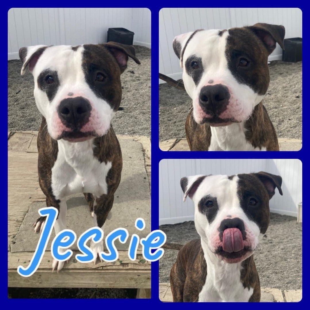 Jessie