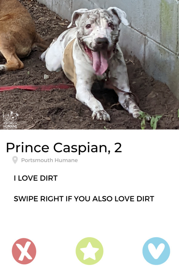 Prince Caspian