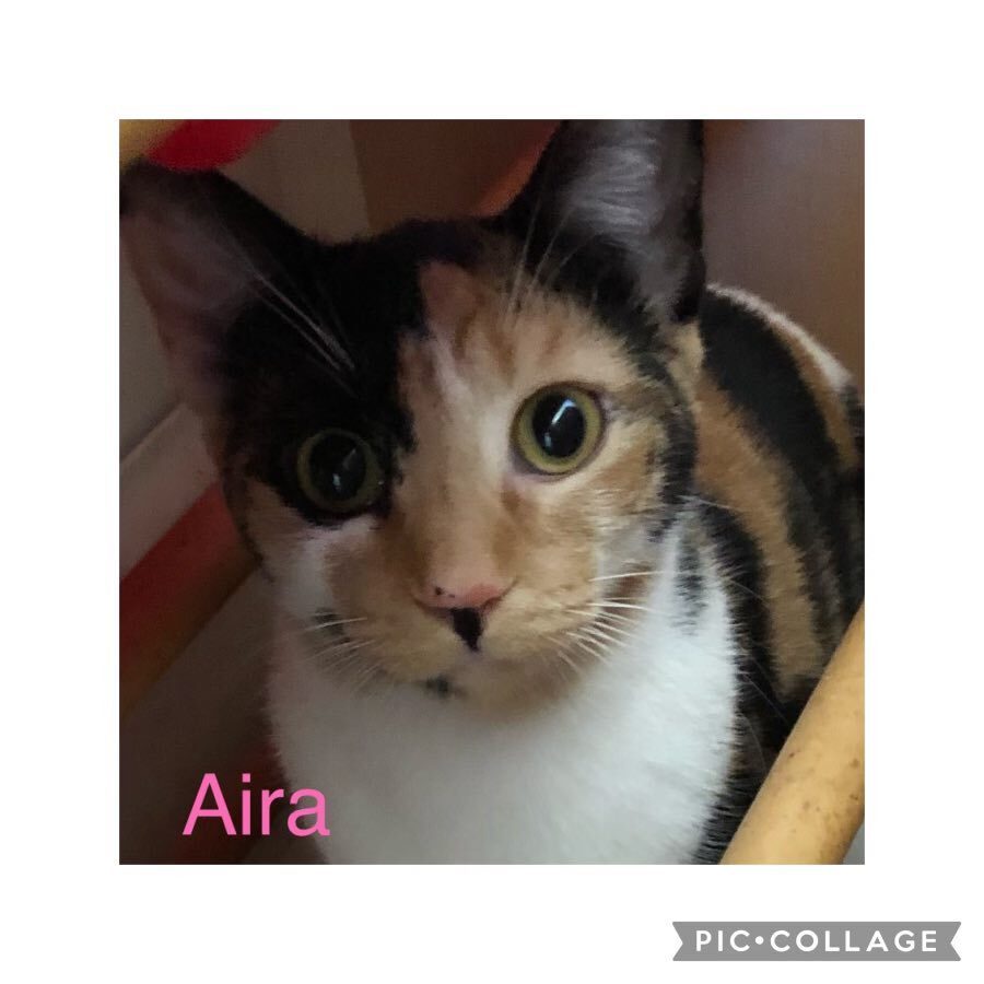 Aira Mirage