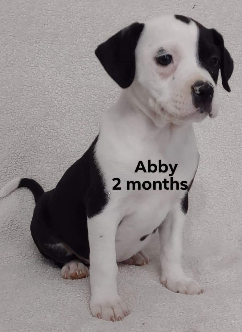 Abby