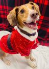 Maggie May-- SPONSORED photo 1