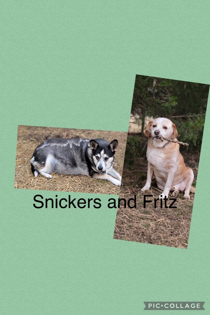 Snickers & Fritz