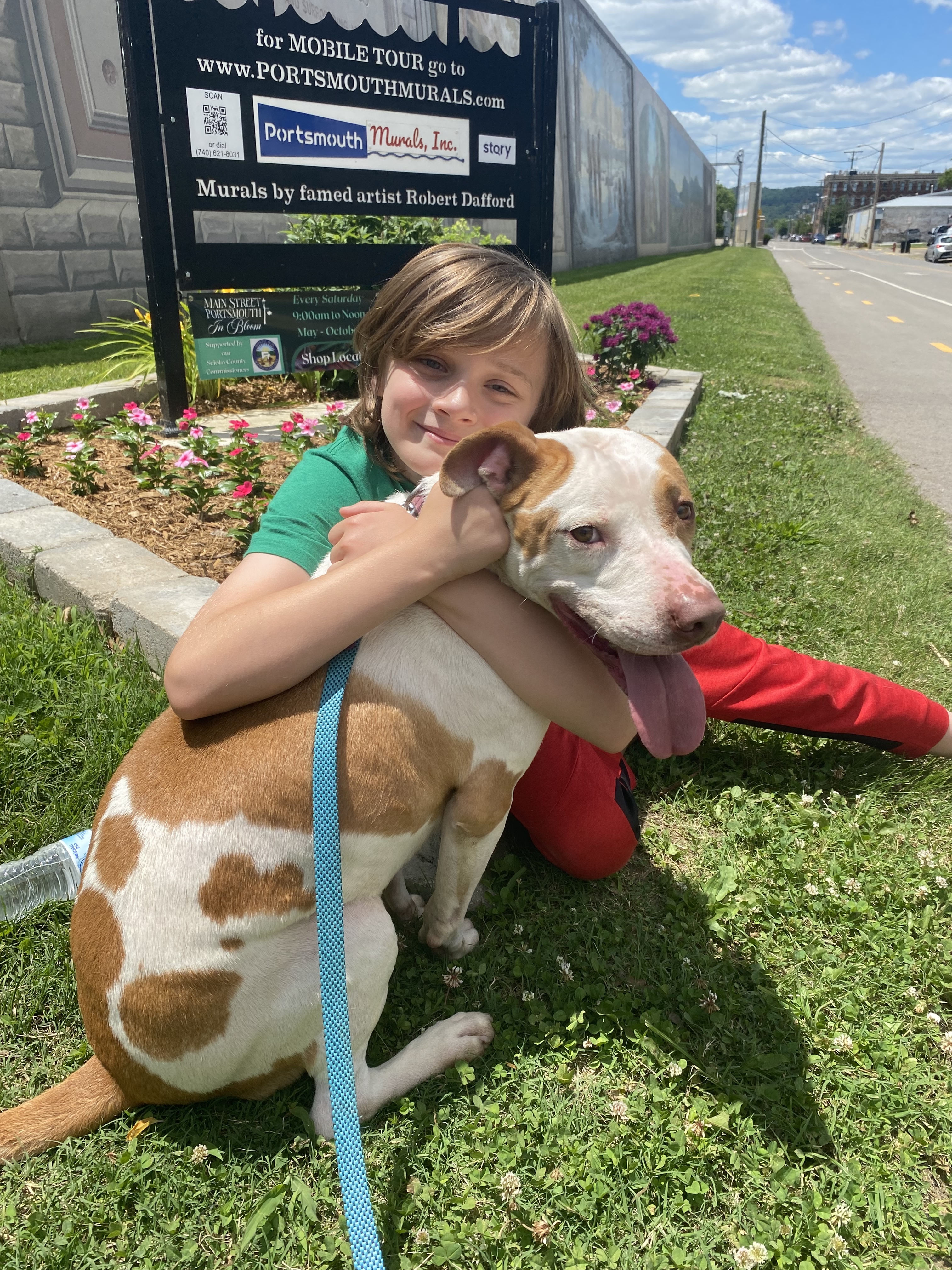 Jax, an adoptable Pit Bull Terrier in Lewis Center, OH, 43035 | Photo Image 1