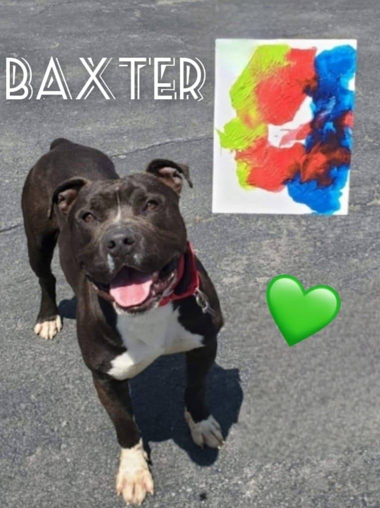 Baxter