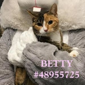 Betty
