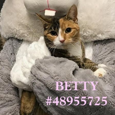 Betty  1