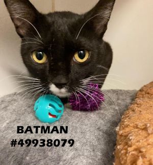 Batman Otis