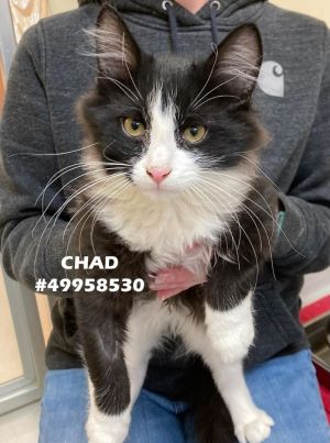 Chad