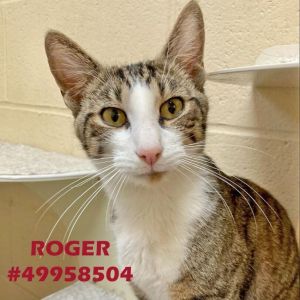 Roger