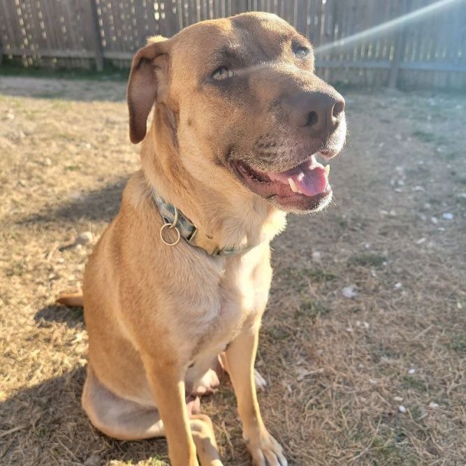 Marley 